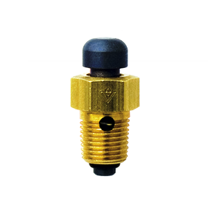 Bleed Valve
